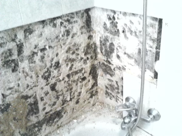 La bañera no se ha sellado correctamente, y el abañil dejo de regalo 8 sacos de Escombros¡
