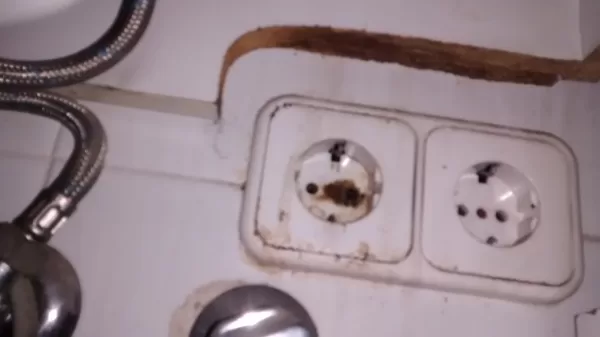 El enchufe estaba debajo de la Pila de agua de la cocina, se ha mojado, y pego un petardas